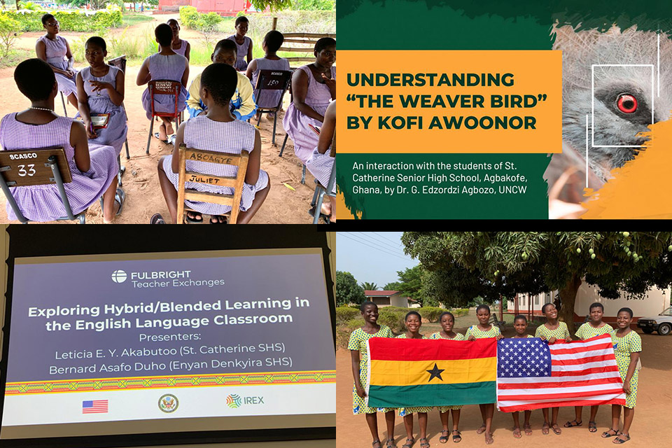 Components of Ms. Leticia Akabutoo's advocacy projects