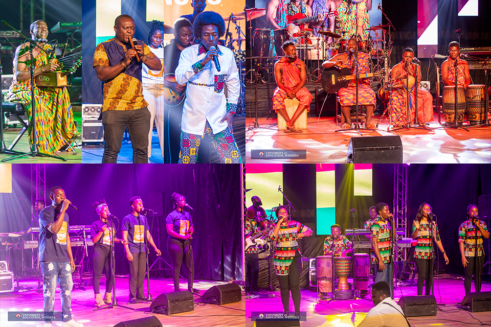 An image illustrating the various performers at the concert