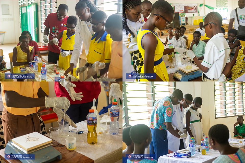 An image illustrating the diverse demonstrations the learners were taken through