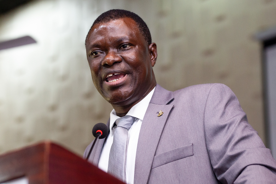 Prof. Vincent Adzahlie-Mensah