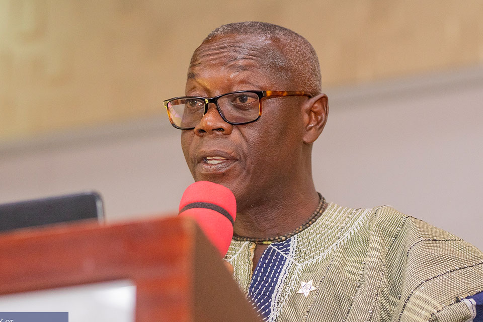 Prof. Yaw Nyadu Offei