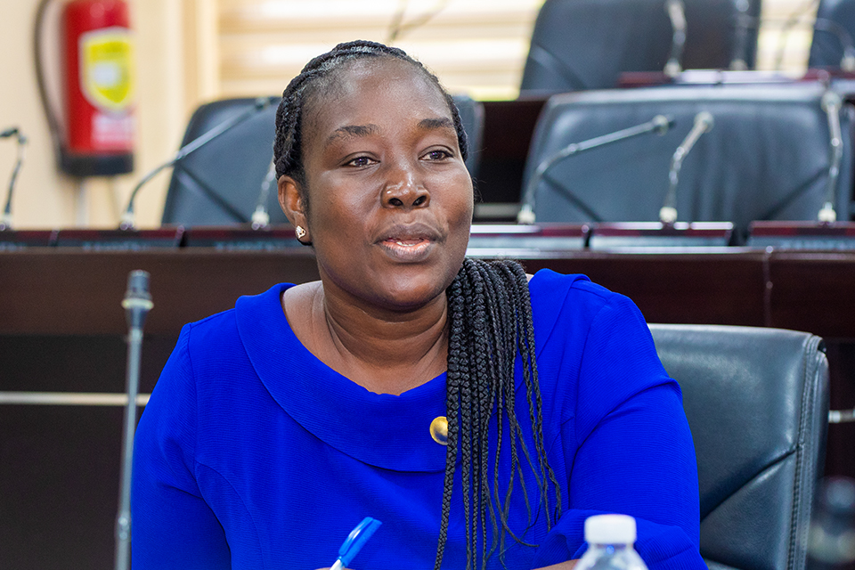 Mrs. Ekua Abedi-Boafo