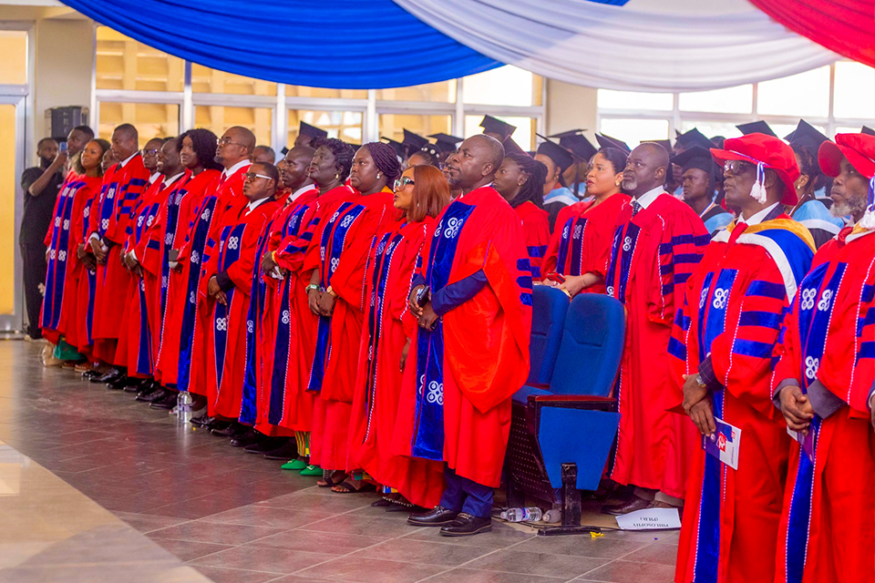 A cross-section of PhD holders 