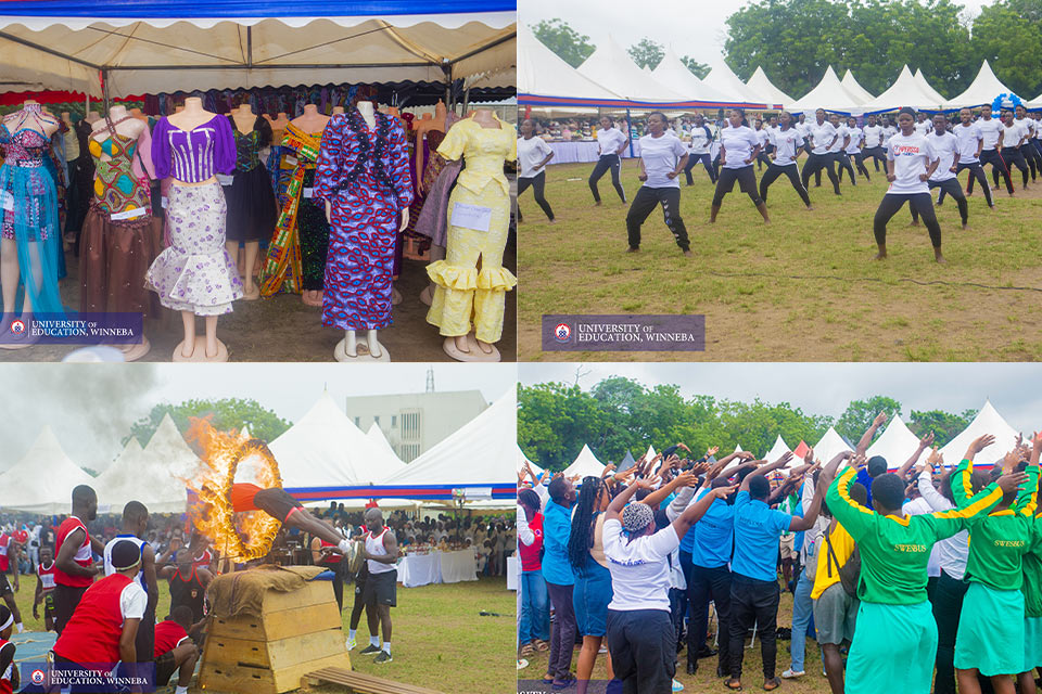 An image depicting various activities taking place at the fair