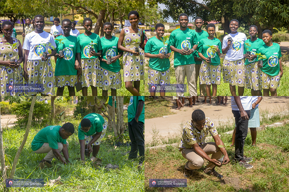 Tree planting exercise 
