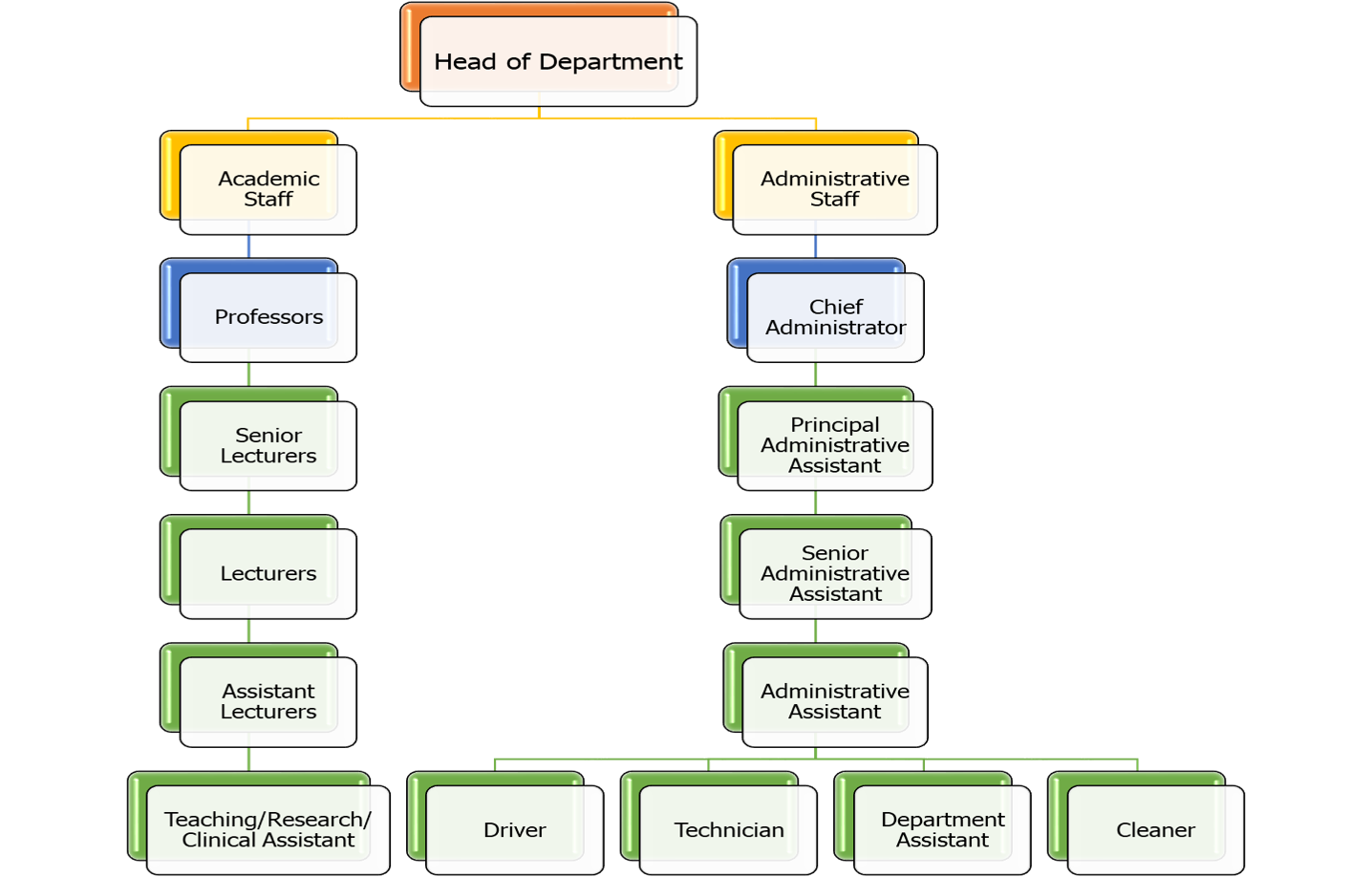 organogram