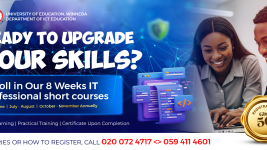I.T. Professional Certificate Short Courses - 2025