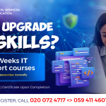 I.T. Professional Certificate Short Courses - 2025